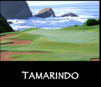 Tamarindo